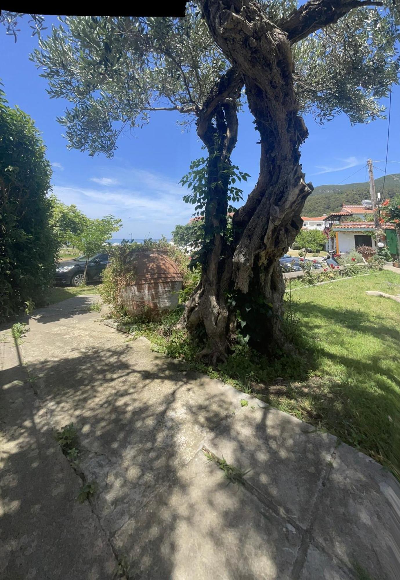 Eleni Del Sol Apartman Szkópelosz Kültér fotó